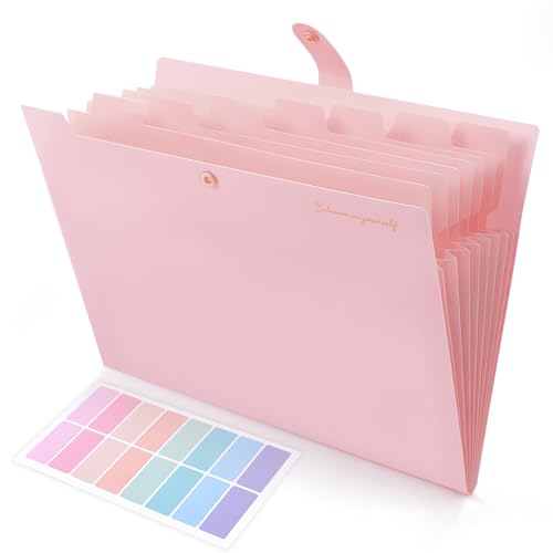 Classic SKYDUE Expanding File Folder, Accordion File Organizer with 8 Pockets, for Daily Use